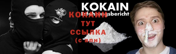 дживик Гусев