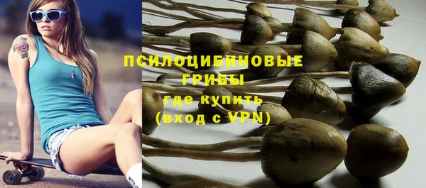 дживик Гусев