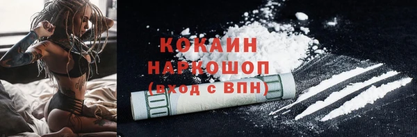 крисы Гусь-Хрустальный
