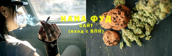 дживик Гусев