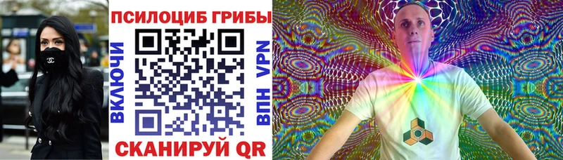 Купить закладки  Серафимович  Галлюциногенные грибы Psilocybe 